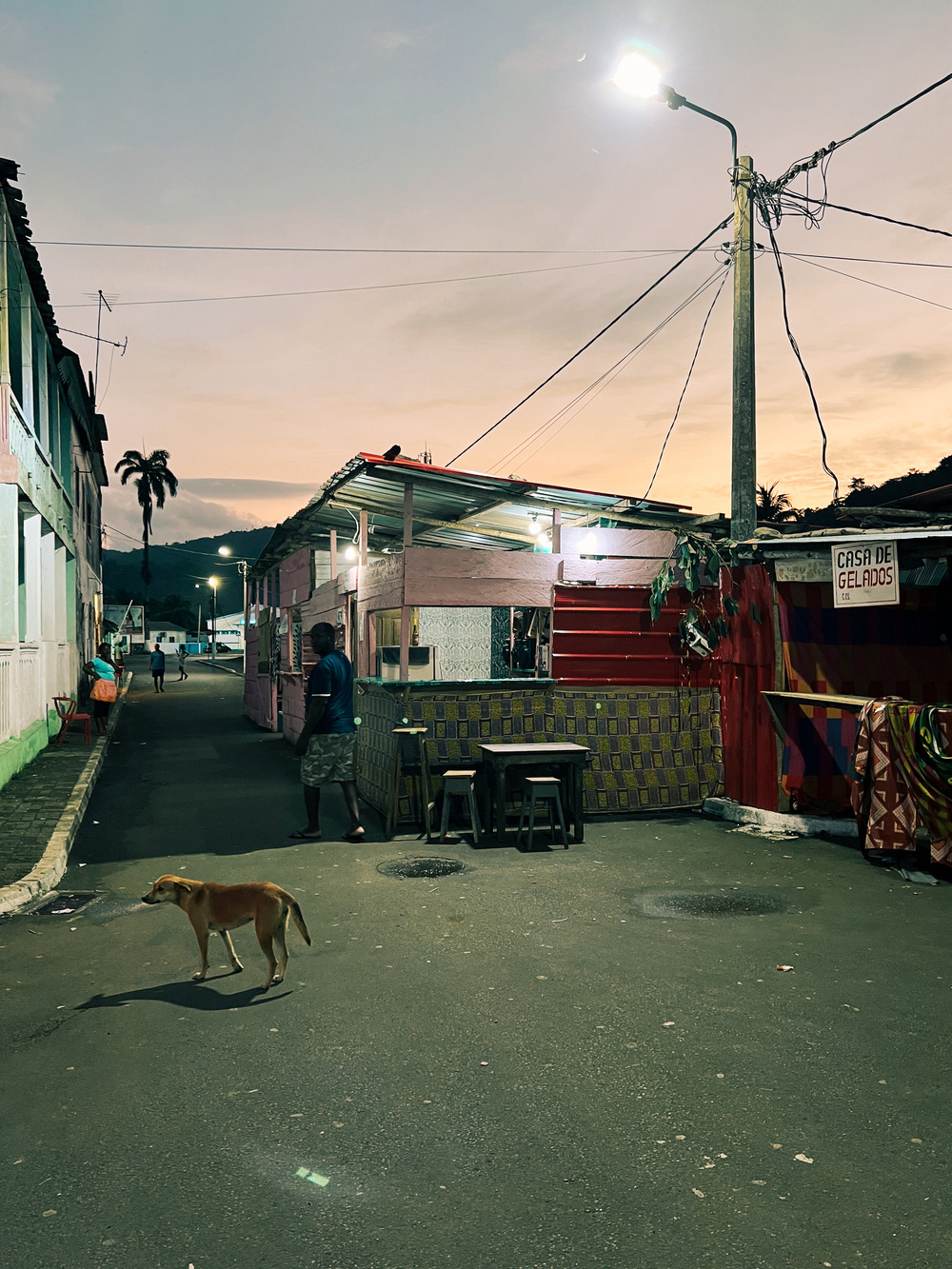 A street scene at dusk with a dog in the foreground, a man standing near a small building with a sign “Casa de Gelados” in the background. Streetlights are on, and there are hills and palm trees in the distance.