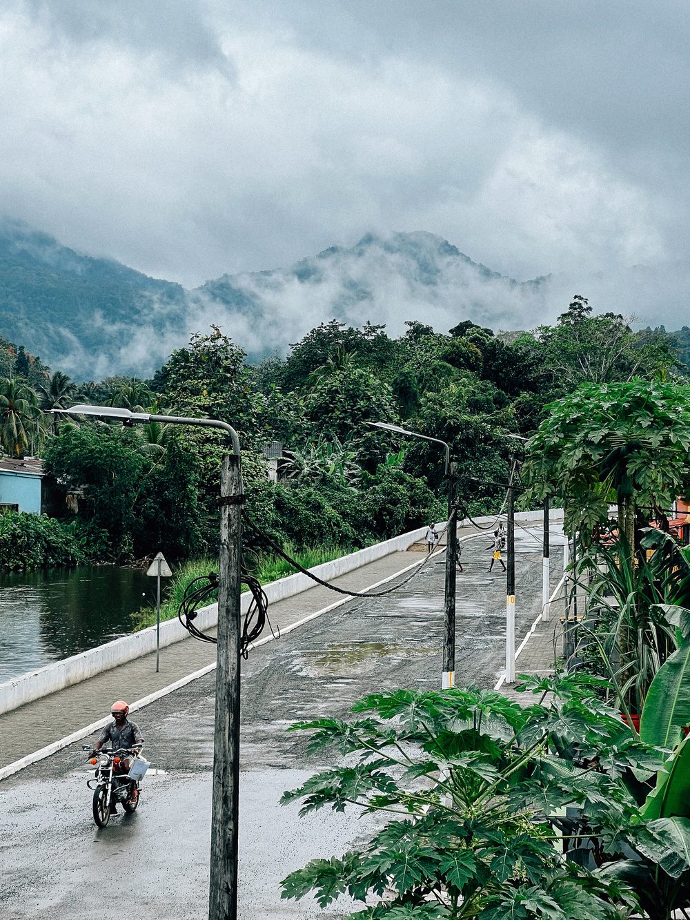 A person on a motorcycle rides down a wet road lined with utility poles and surrounded by lush greenery. In the background, mist-covered mountains add to the scenic, tranquil atmosphere.