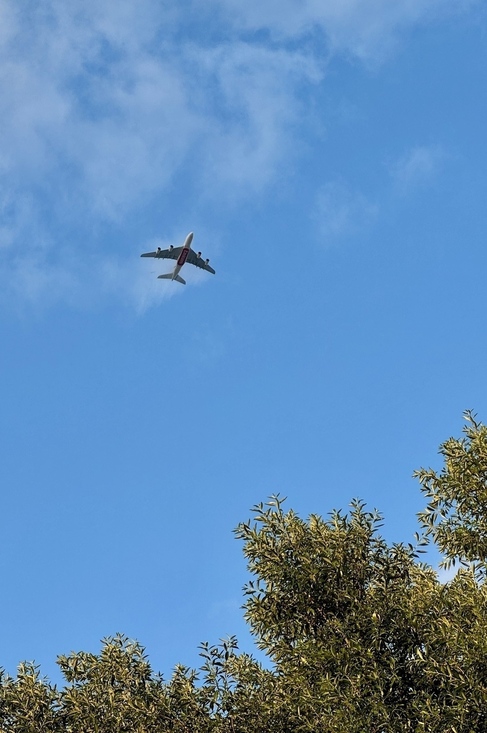 An A380 plane approaching London Heathrow, with trees below.