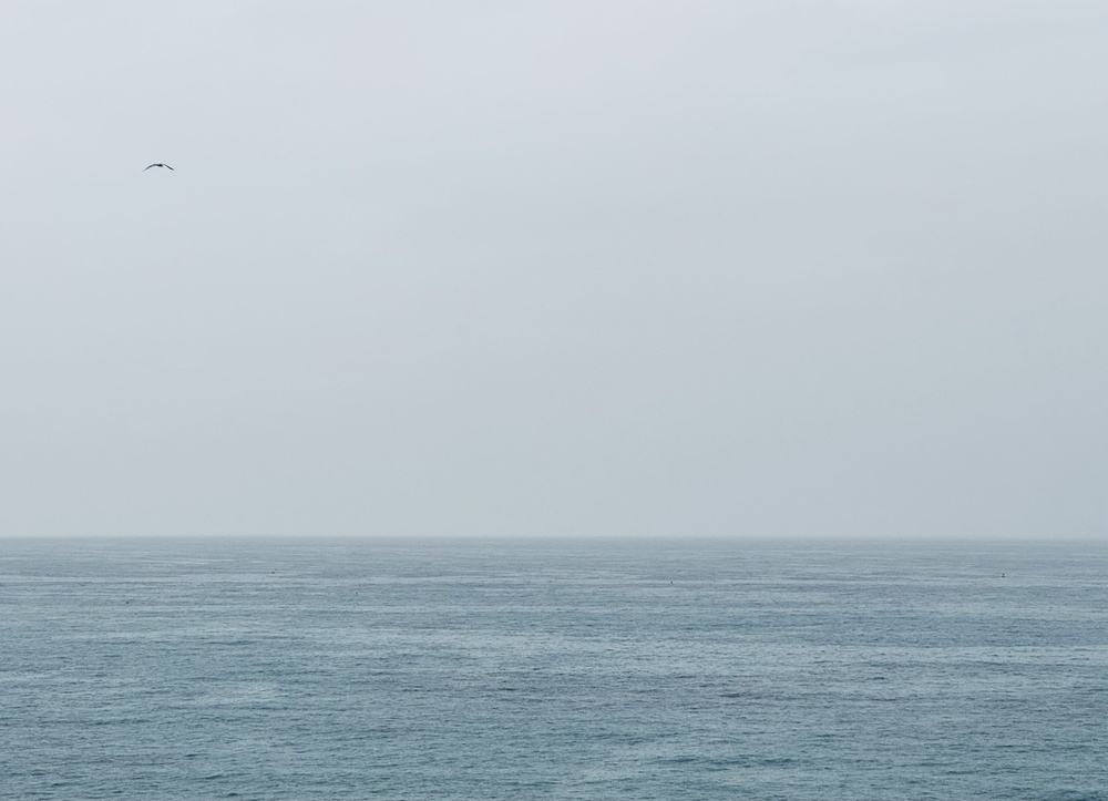 The Mediterranean Sea beneath a cloudy sky, with a lone seagull flying.