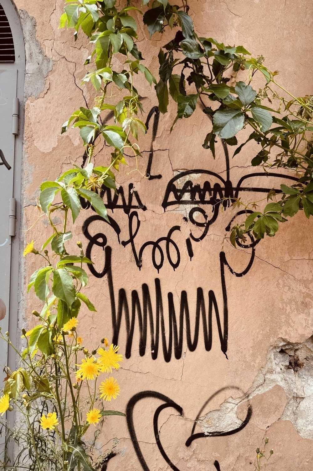 Vines partially covering graffiti on a pale orange wall.