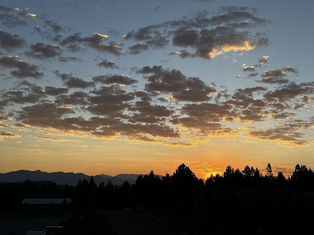 Sunrise over the eastern sierra mountains, a conifer forest in the foreground