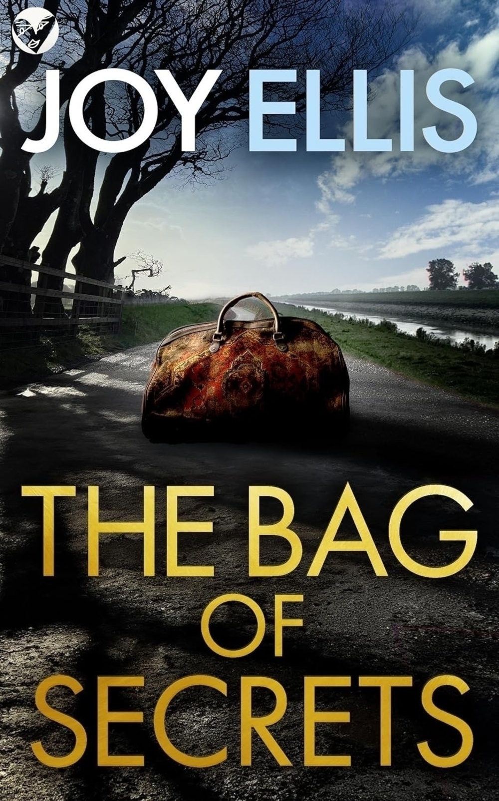 Book cover: The Bag of Secrets. 