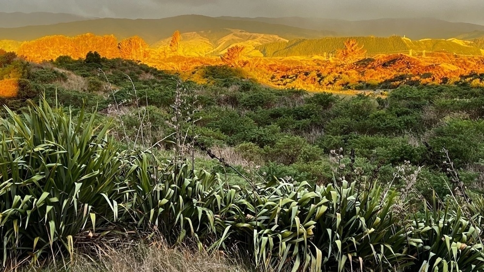 Late afternoon sun lights a more distant and hilly part of the landscape..