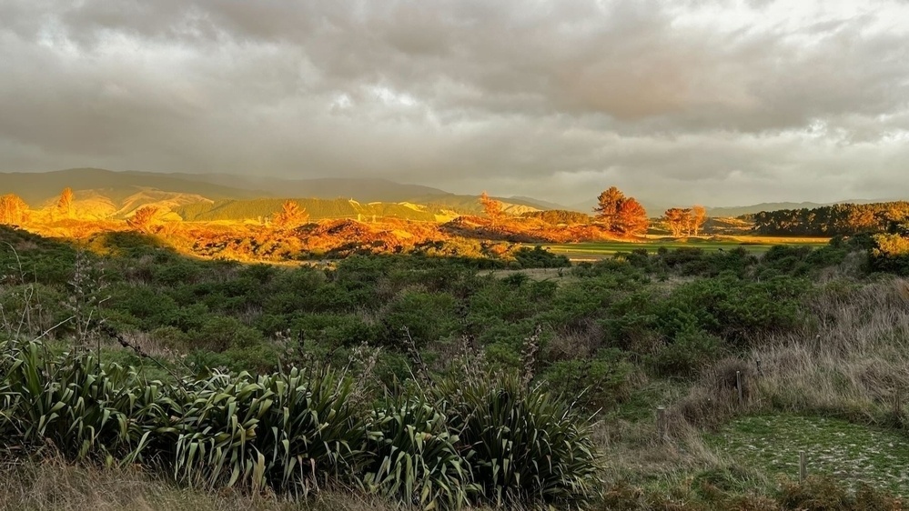 Late afternoon sun lights a more distant and hilly part of the landscape.