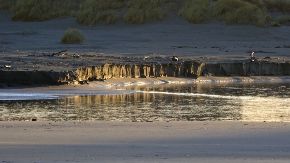 Sand cliff lit by rising sun.