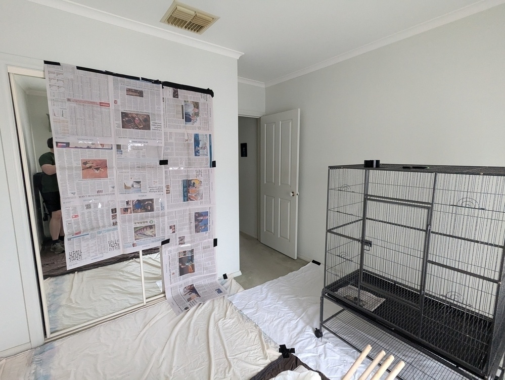 A room is set up with newspaper taped in front of half of the sliding-doors of a wardrobe with full-sized integrated mirrors. A large birdcage is positioned on the right side.