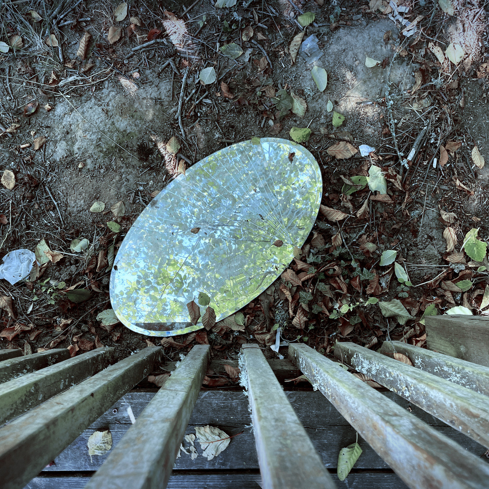 top-down view of an oval mirror, cracked in many places, on the ground outside surrounded by dead leaves and dirt, with the slats of a wooden deck along the lower edge of the frame