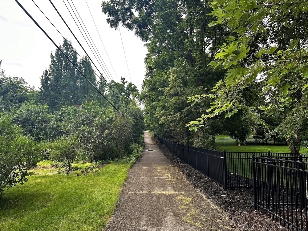 A pathway stretches into the distance bordered by lush greenery on the left and a black metal fence on the right with overhead power lines running parallel to the path.