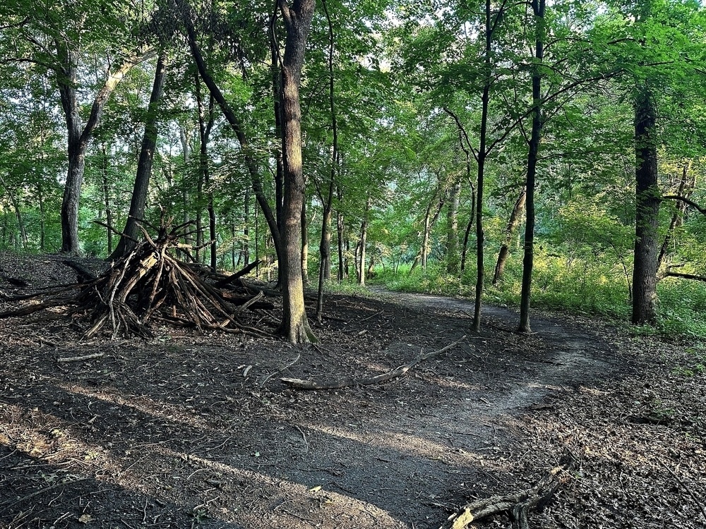 A structure made of sticks leaning against each other in a sunny forest surrounded by trees and dirt paths.