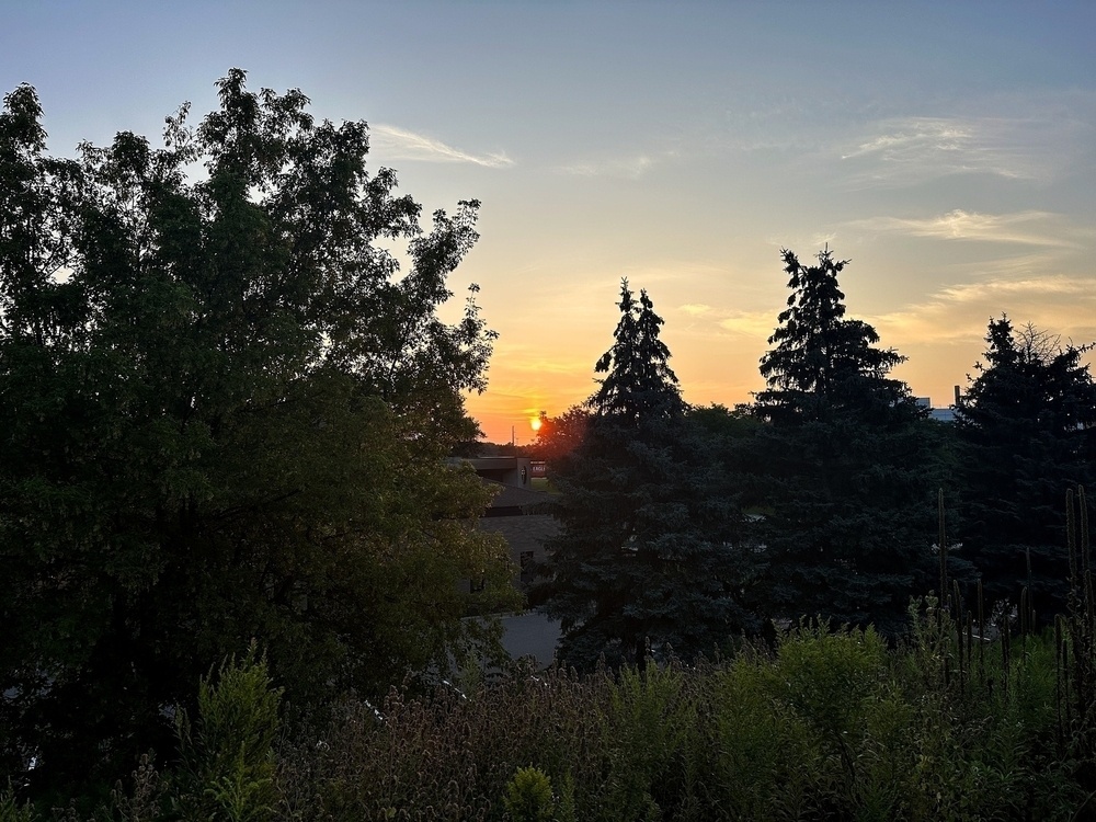 Sun is setting behind a row of silhouetted trees, casting an orange glow over the landscape. The foreground features dense vegetation, and the sky transitions from light blue to warm tones.