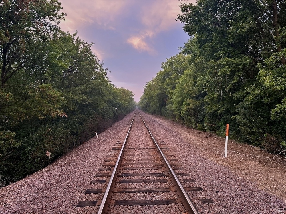 Railway tracks extend into the distance, flanked by dense green trees on both sides under a dusky purple-pink sky. White and orange posts line the gravel beside the tracks.