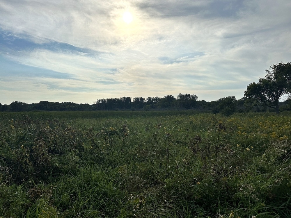 Foreground wildflowers and grasses stand in a lush green field, set beneath a partly cloudy sky with the sun shining brightly overhead. A distant tree line demarcates the horizon.