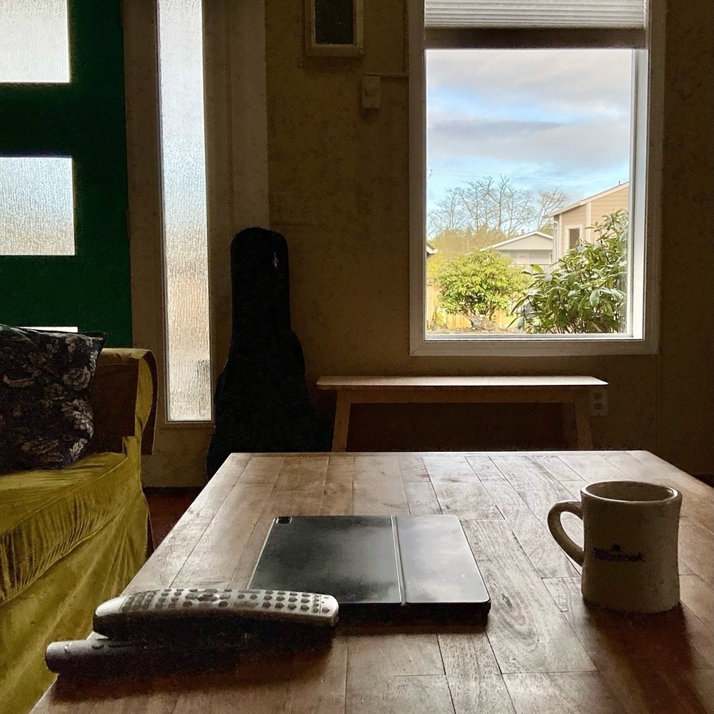 Living room view looking out at some sun through the window,