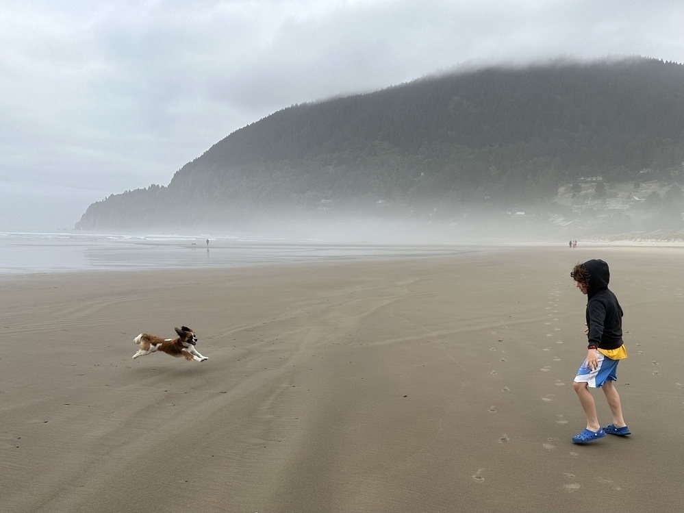 Pacific coast beach with mountain and fog in the background, small dog in mid-air while running towards boy