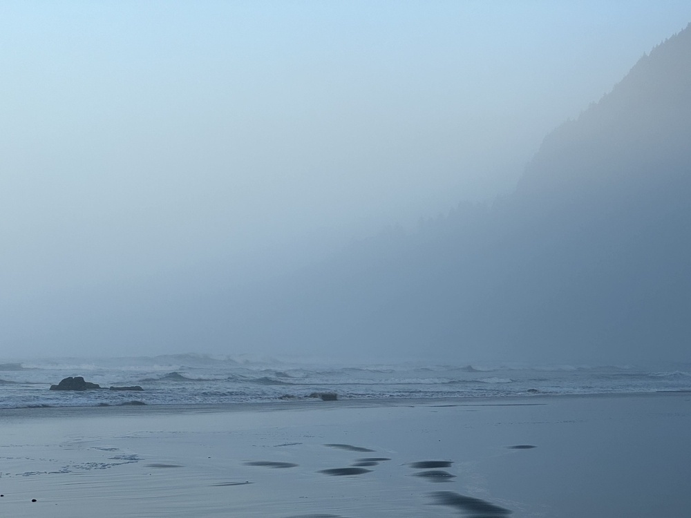 Ocean and mountain shrouded in mist, looking north; starfish rock visible in foreground.