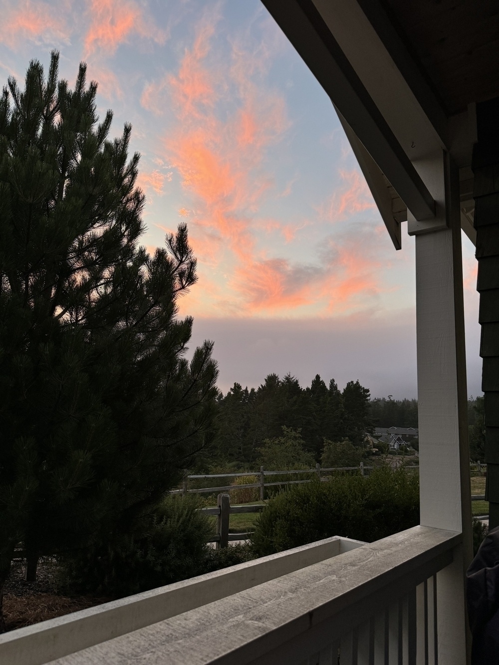 View from the porch, with sunset pink-orange clouds above a gray cloud. Evergreens in the foreground. 