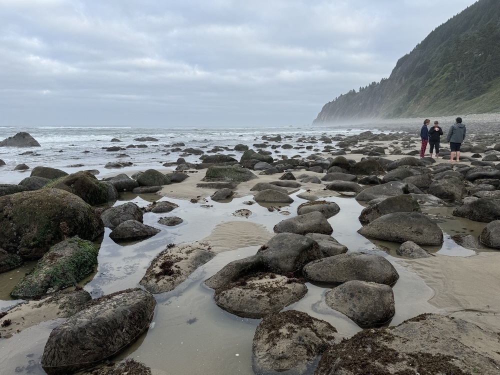 Lots of rocks uncovered by low tide at the foot of a mountain. 