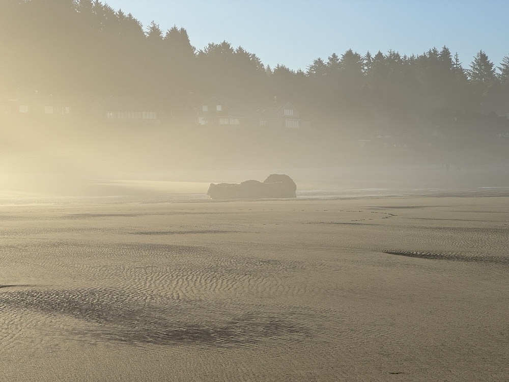 Misty view facing the shore of a beach at low tide, large rock. 