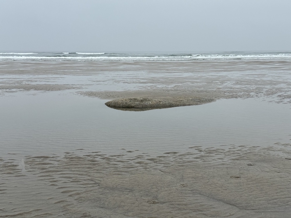 Same rock submerged in sand. 