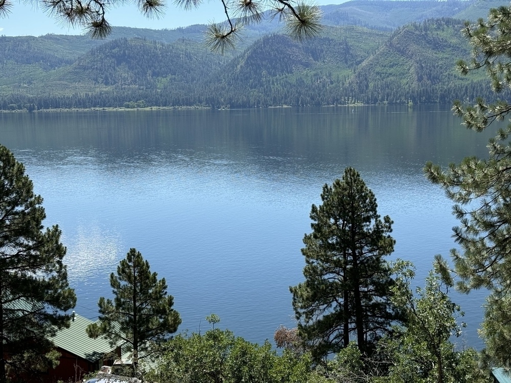 View from my rented cabin. There is a very large lake with pine trees surrounding. In the distance, pine tree covered mountains can be seen. It is a bright sunny day. 