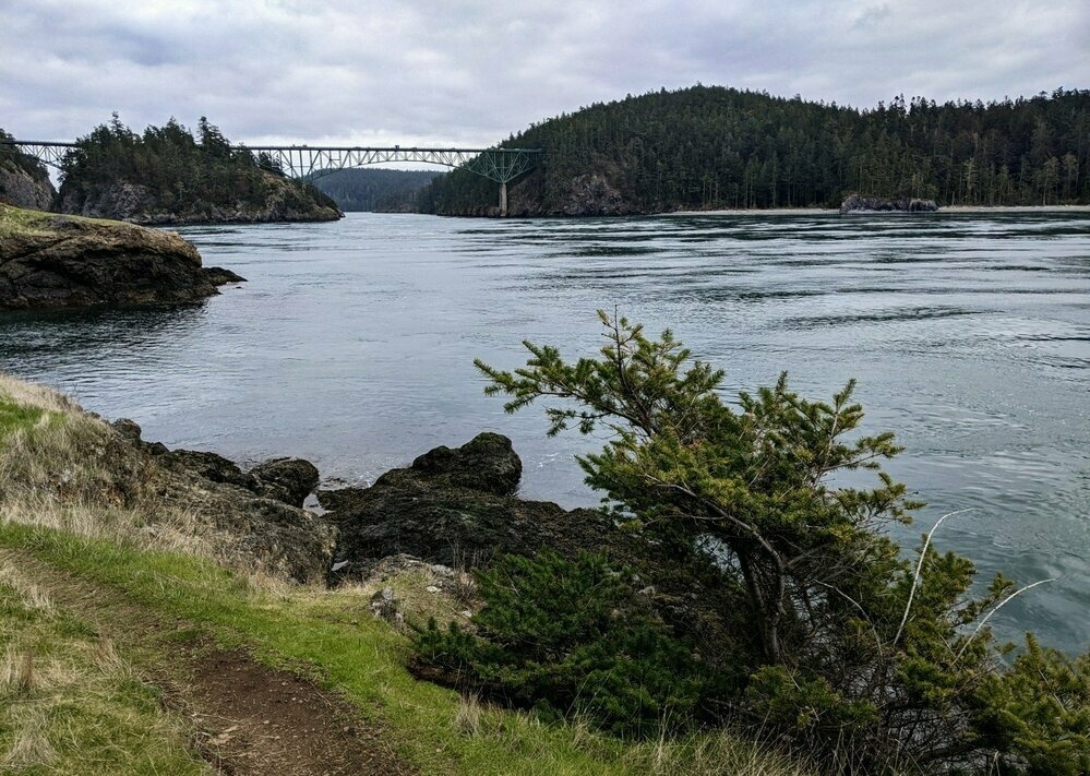 Deception Pass bridge, anchored on an island, in the distance beyond a swath of rippling water, a wind-shapen dwarf conifer beside the land edge