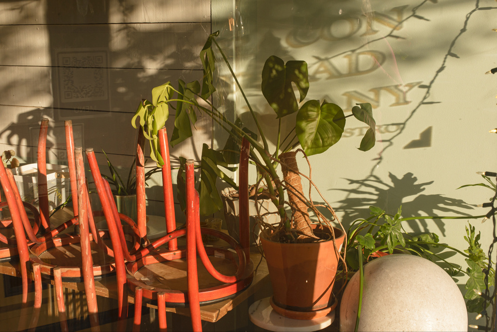 Red chairs stacked on the right side, indoor plants on the left, sunlight and shadows on the wall.