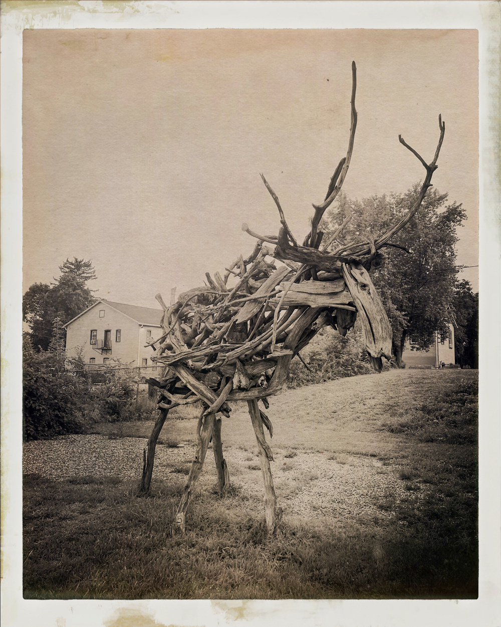 Driftwood sculpture of a moose. Vintage black and white filter applied.