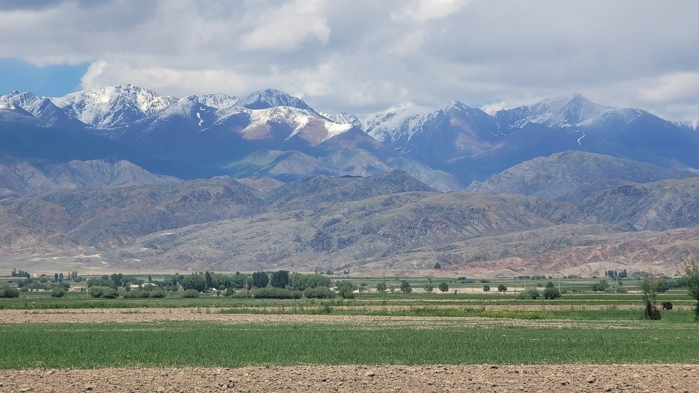 brown, slightly green snow-capped mountains in front of crop fields and grass fields at midday