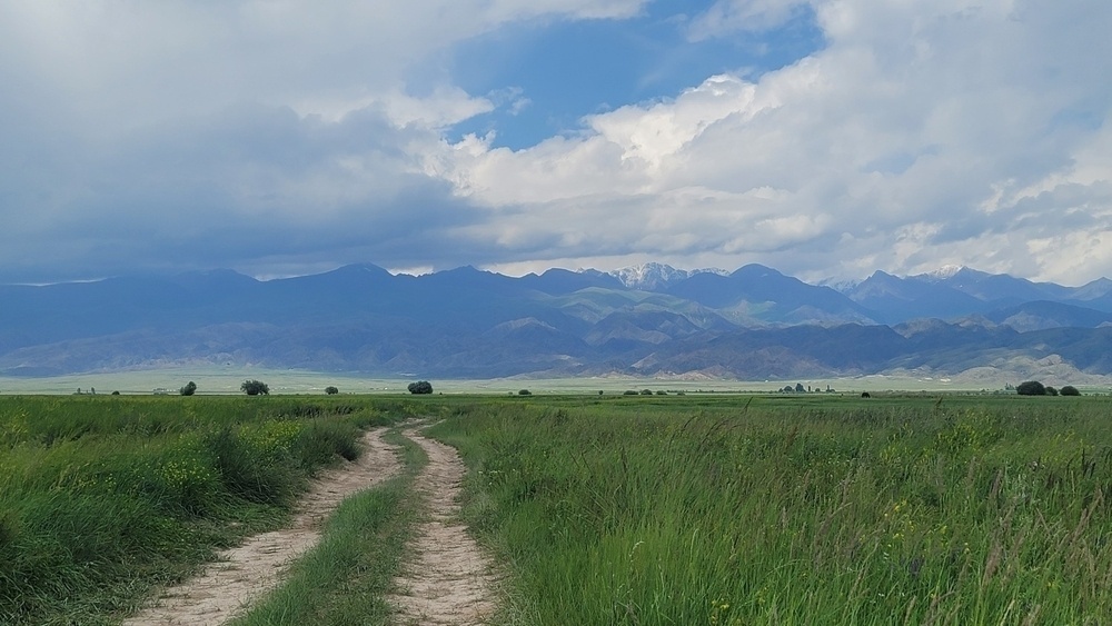 dirt road in the middle of a green field in the direction of mountains