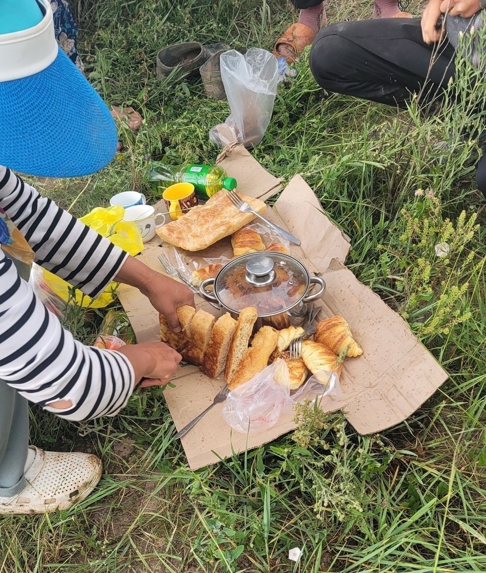 lunch on two pieces of cardboard on grass: bread, pot with potatoes and cabbage cooked in sauce, croissants, and bottled tea