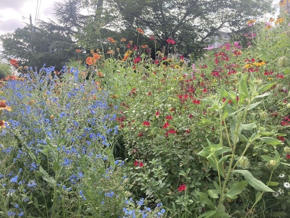 flowers flowers flowers