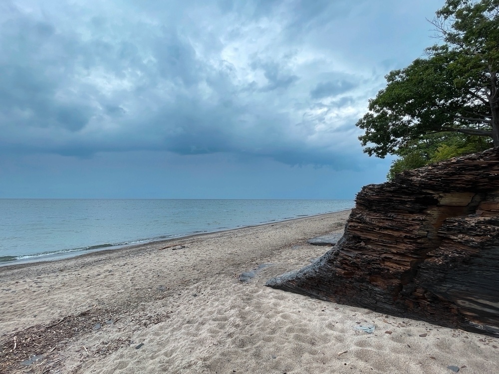 trees and rocks on the beach looking onto a dramatic sky over the lake