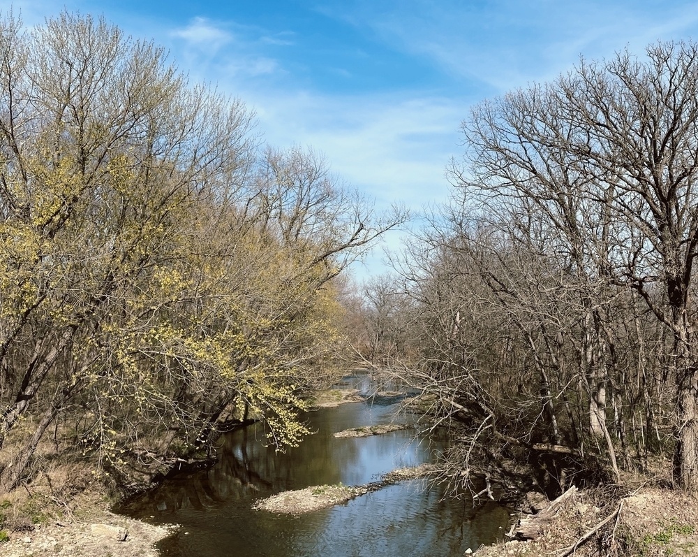 A view looking upstream along a wild Kansas creek at low water, with random islets and tall dirt banks tangled with bare trees waiting for the next flood to slough in to the water. 