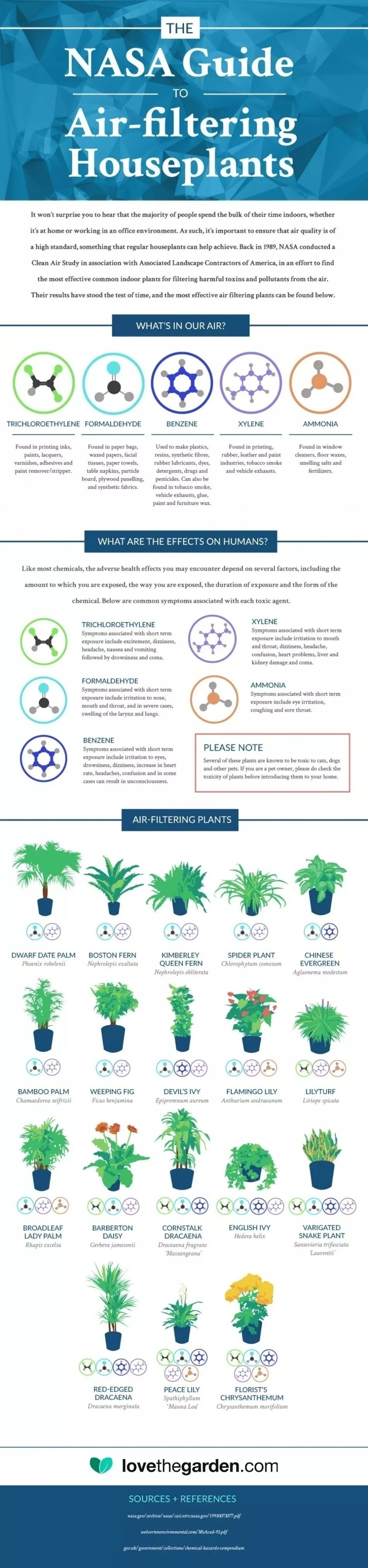 A comprehensive infographic titled "The NASA Guide to Air-Filtering Houseplants" explaining the benefits of various houseplants in purifying air and their effects on human health."