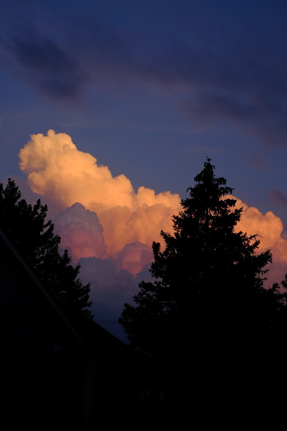 Tree silhouettes with dark orange clouds behind them. The sky is a dark blue at sunset