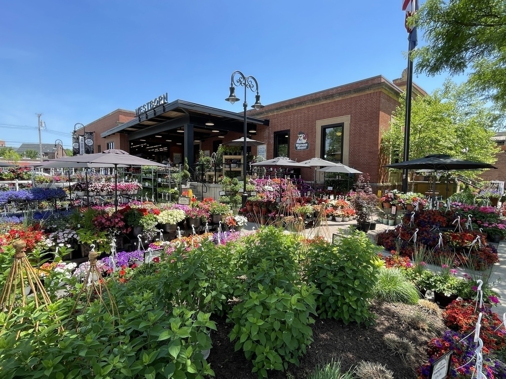 A wide assortment of flowers and plants in front of a brick store