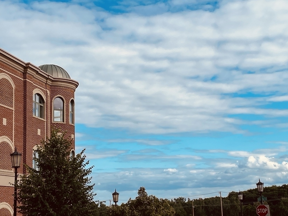 Afternoon view of the corner of a brick building with a small domed top overlooking trees and street lights with a cloudy blue sky behind it all