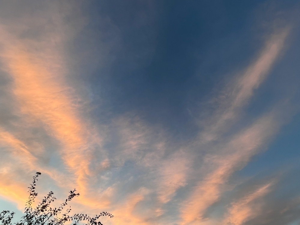 Sunset sky at golden hour with pink clouds across a darkening blue sky