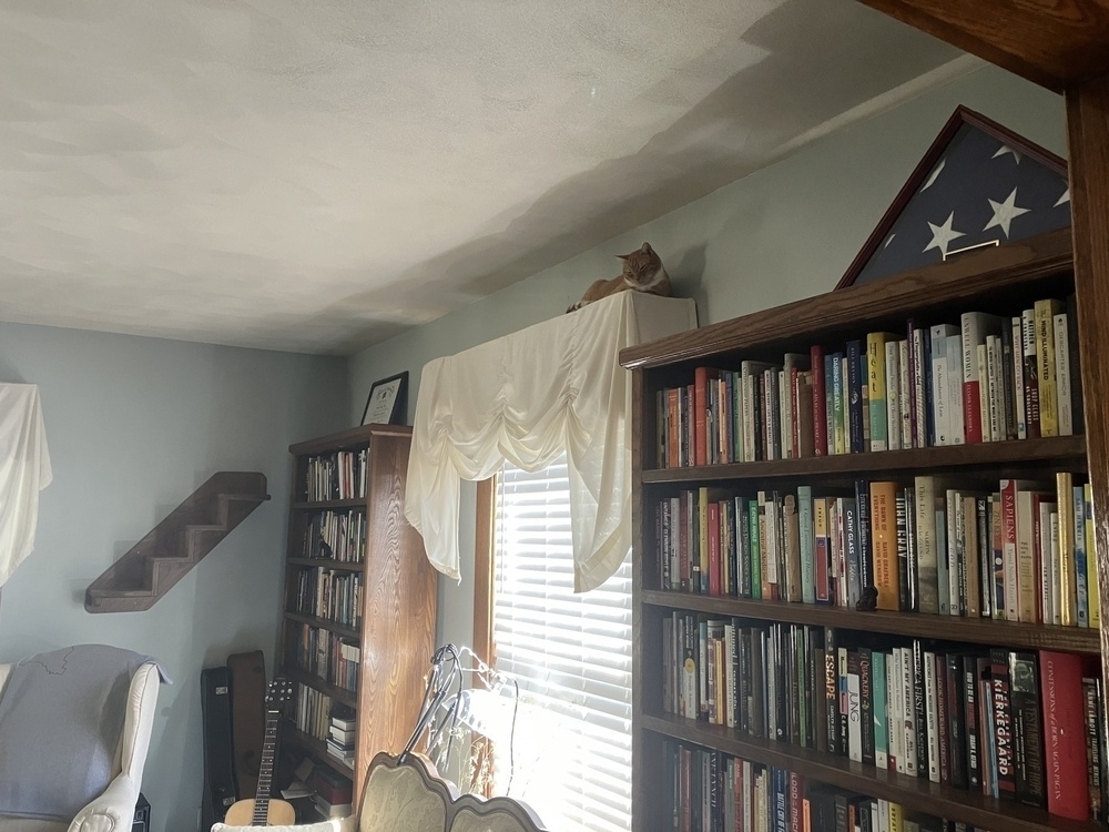 Auto-generated description: A living room features a cat on a high shelf, bookshelves filled with books, a flag display case, a guitar, and furniture including a blue chair and a white draped window.