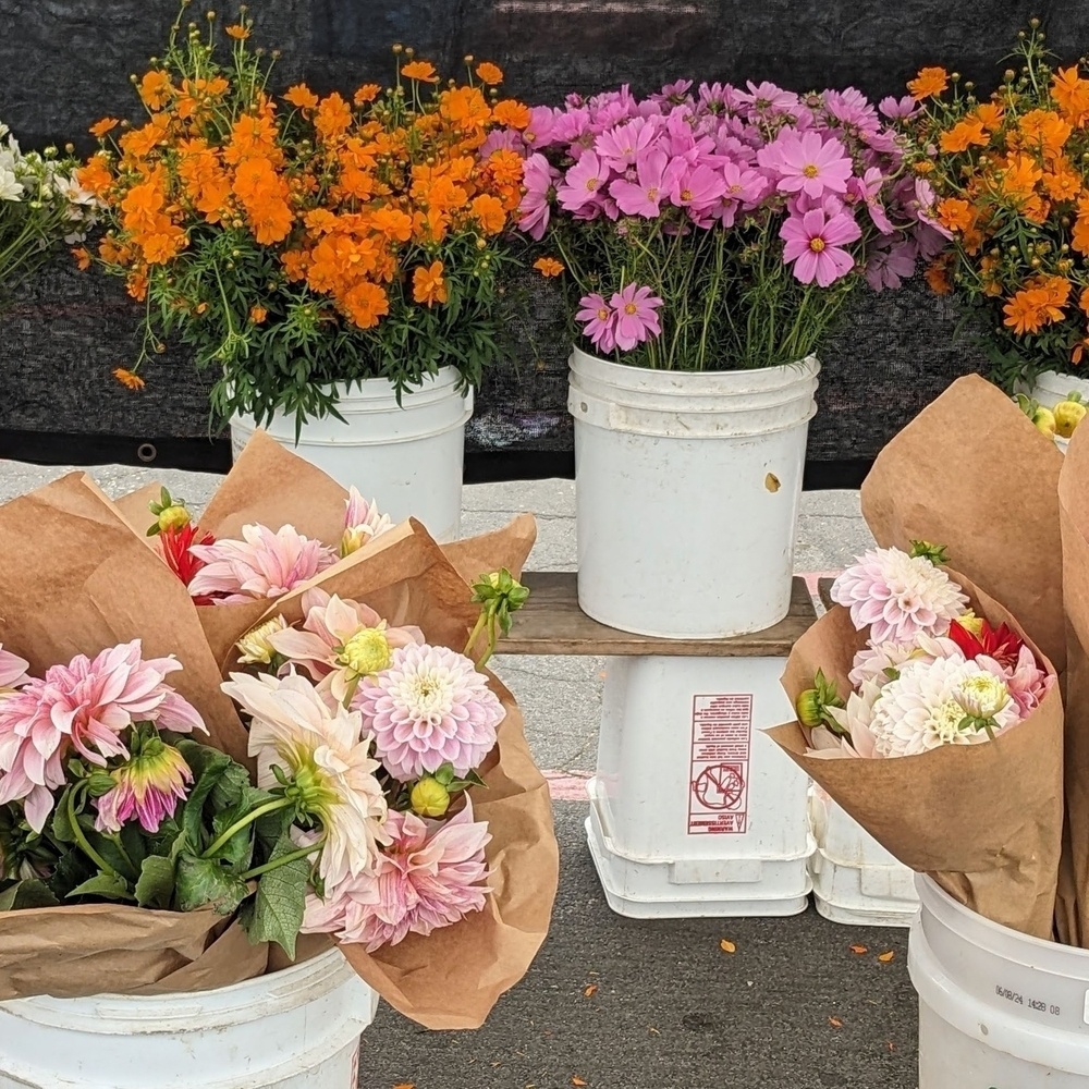 Buckets of orange, purple, and pink flowers at a farmers' market