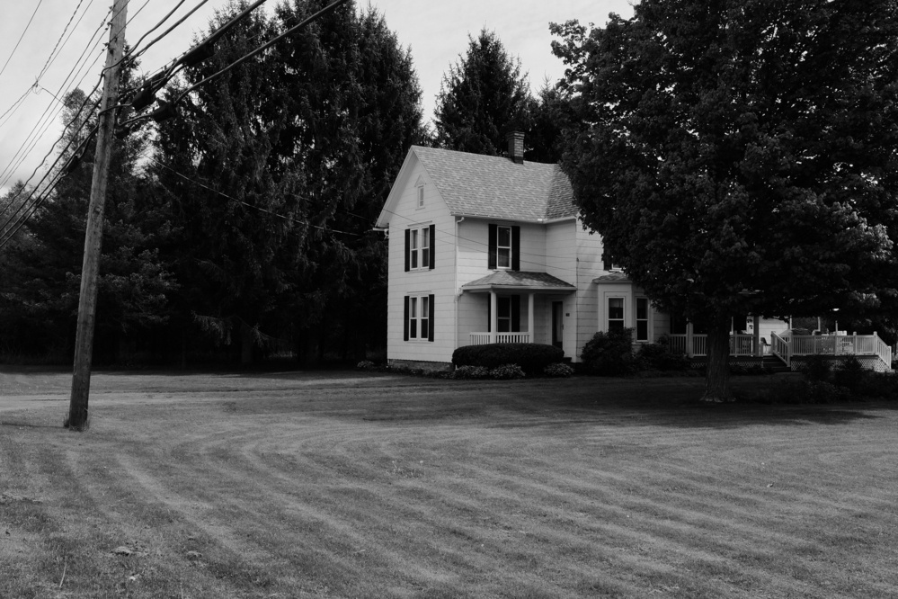  white house peeks out from some tree leaves, in black and white