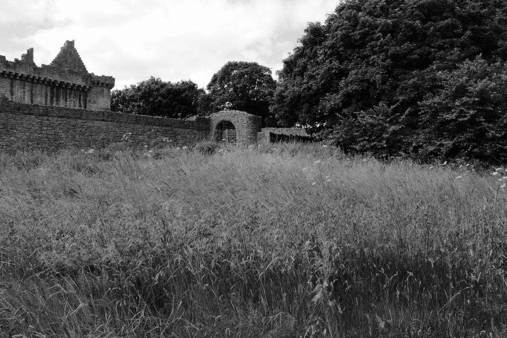 One of the gates to the castle in black and white, with tall grasses in the foreground.