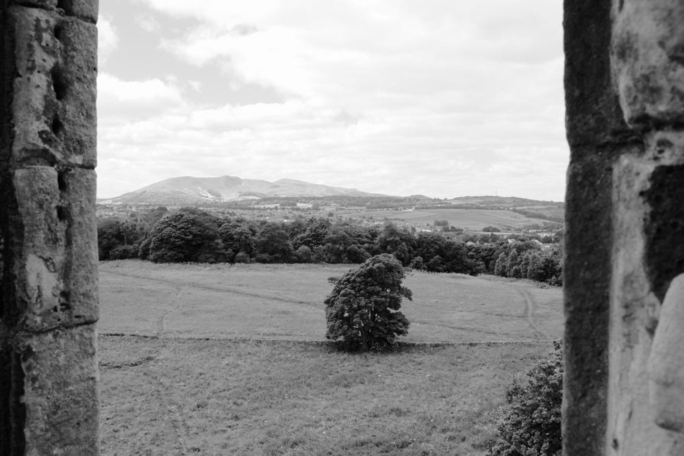 A tree in the middle ground, with mountains in the background and framed in the foregroudn by walls of a castle window (in black and white).