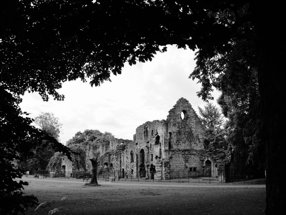 Abbey ruins in black and white, framed by tree branches around the borders of the frame.