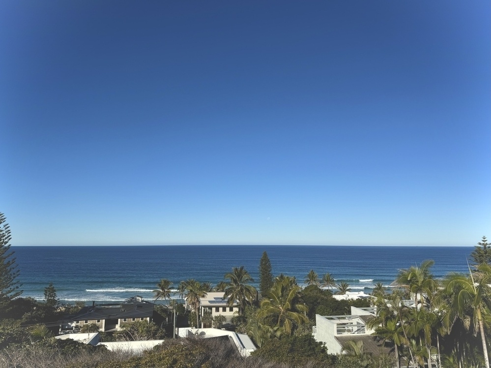 A view out over palm trees and beach houses to the beautiful Pacific Ocean, not a cloud in the sky, a pale moon rising.