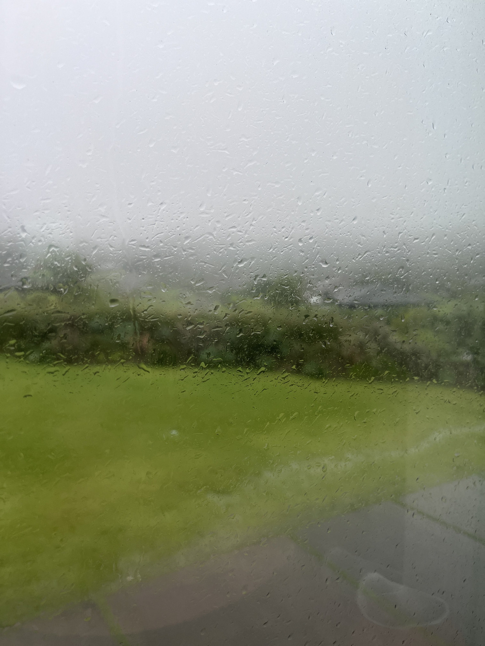 Auto generated description: A rainy and foggy scene is viewed through a window, showcasing a green grassy landscape shrouded in mist.