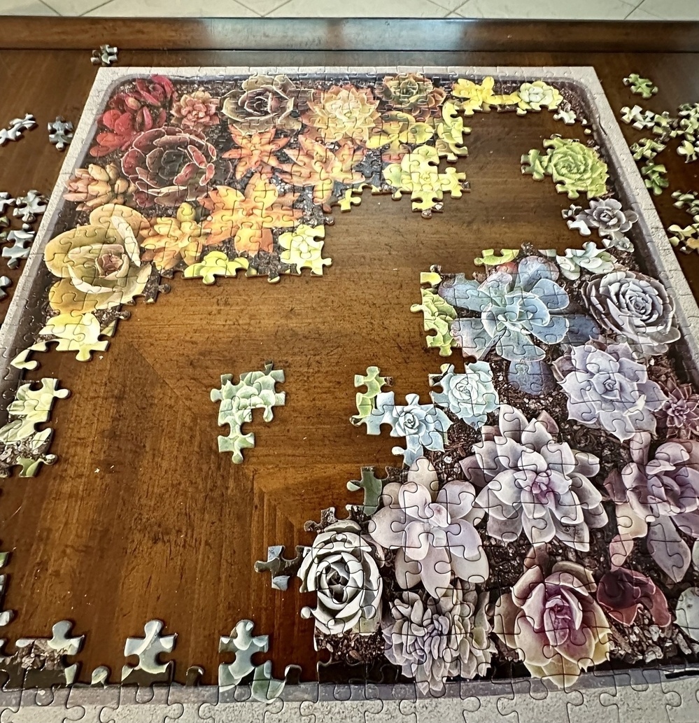 Photo of â€œsucculentsâ€� puzzle progress