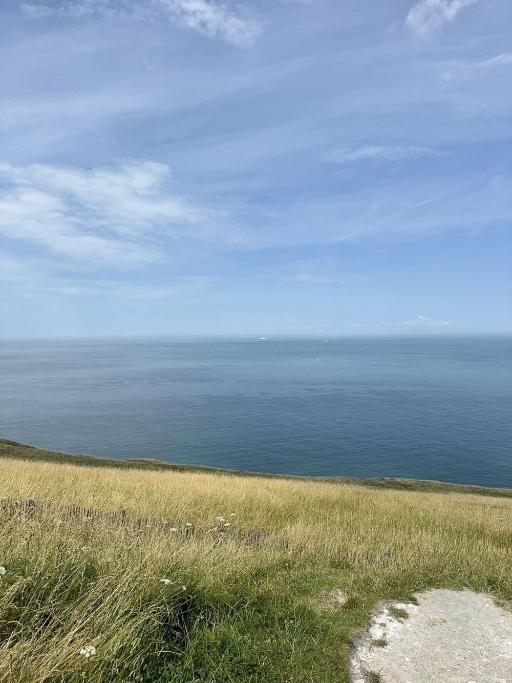 A serene coastal landscape features a grassy foreground and a calm, expansive sea under a partly cloudy sky.