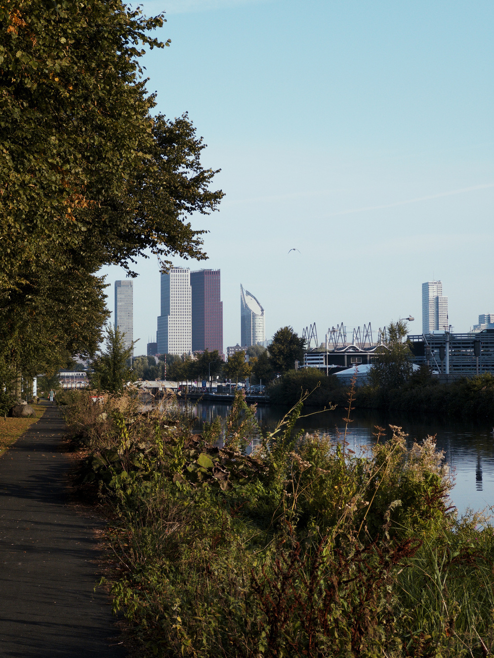 Scenic view of a tree-lined path by a canal with the skyline of The Hague, Netherlands in the background.